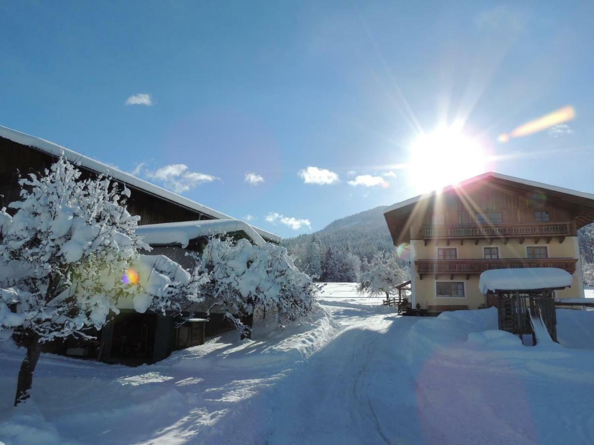 Villa Aubauer à Bischofshofen Extérieur photo