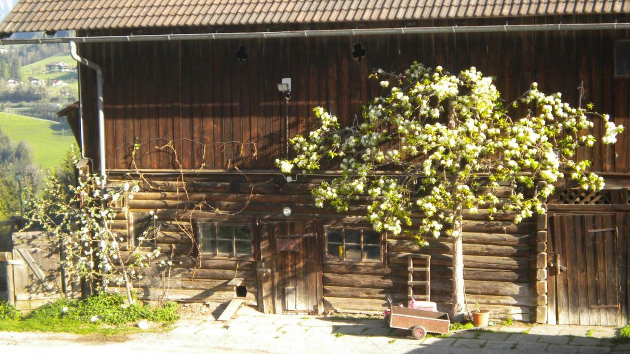Villa Aubauer à Bischofshofen Extérieur photo